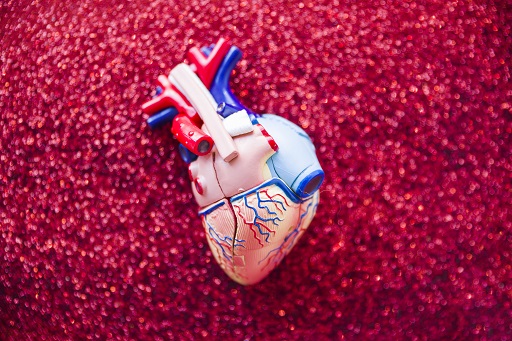 Bloqueio Atrioventricular de Segundo Graus