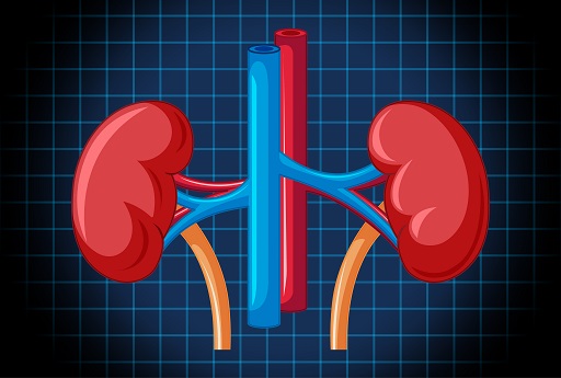 Estenose da Artéria Renal