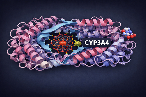 Isoenzima CYP3A4