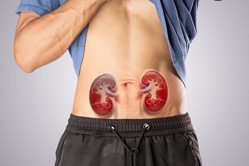 Lesão de Artéria Renal Bilateral