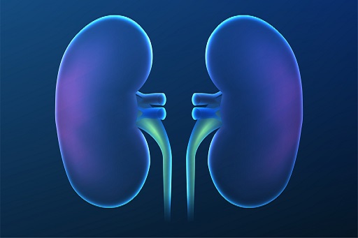 Lesão de Artéria Renal Unilateral