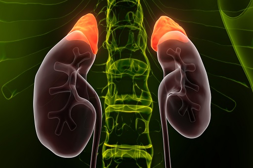 Alteração da função renal