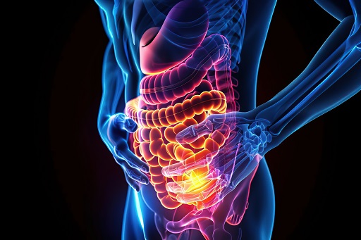 Alterações gastrointestinais