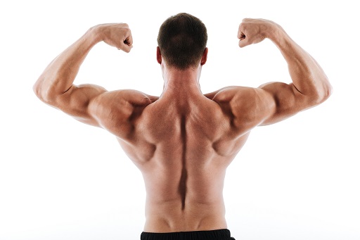 Aumento das enzimas musculares CPK