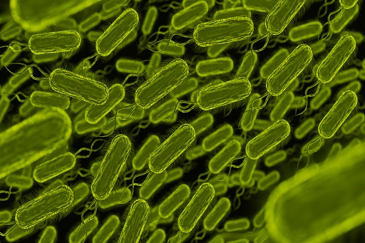 Infecções por bactéria