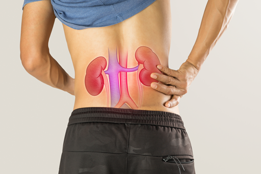 Inflamação dos rins