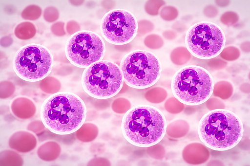 Neutropenia