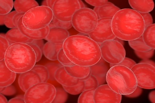 Anemia Hemorrágica
